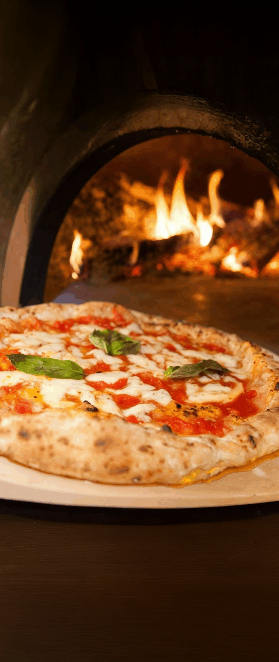 f6e651dfde9ec467a2a1dbff706f088aed00a162